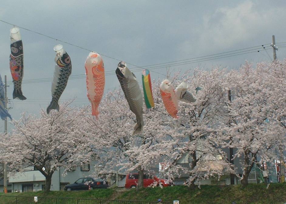 ̂̂ڂƍ