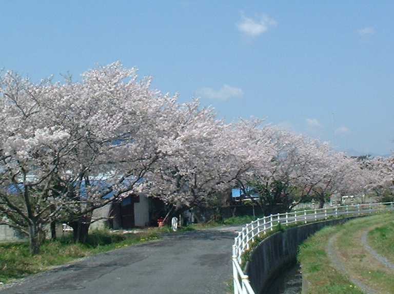 _ŝƂ鏊̍