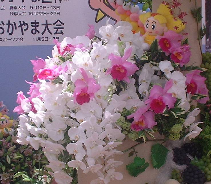 ԃgsA
