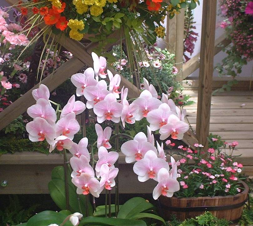 花の地球館